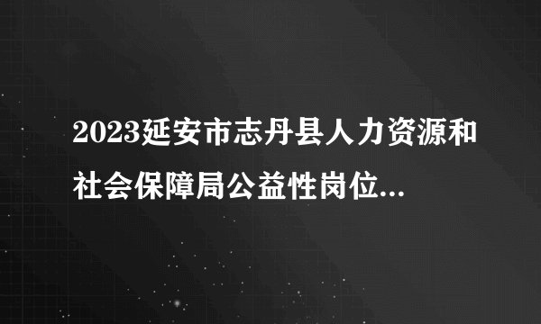 2023延安市志丹县人力资源和社会保障局公益性岗位招聘公告(39人)