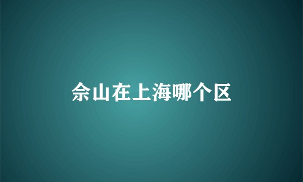 佘山在上海哪个区