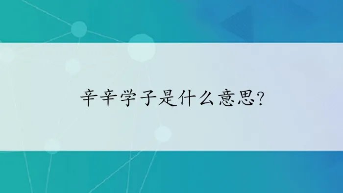 辛辛学子是什么意思？