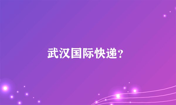 武汉国际快递？