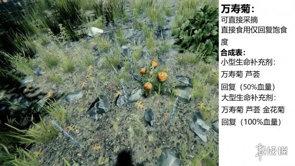 《森林》游戏植物有什么 the forest植物图鉴分享