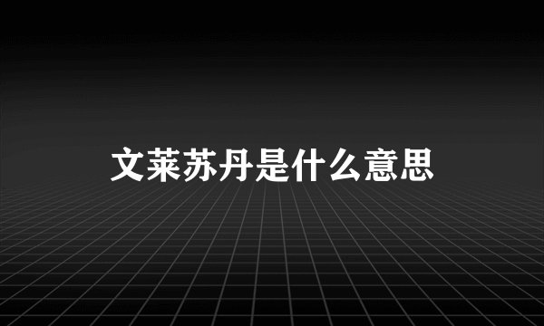 文莱苏丹是什么意思