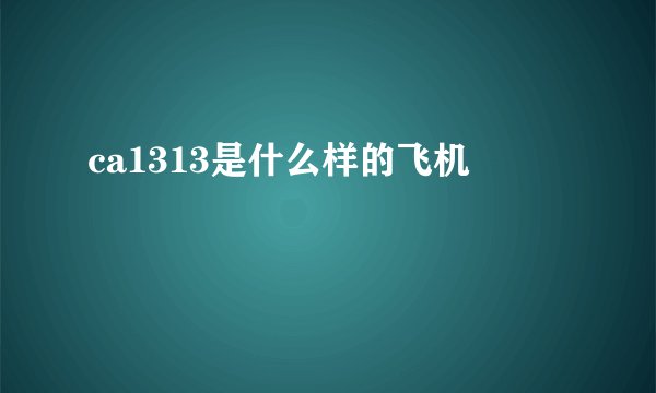ca1313是什么样的飞机