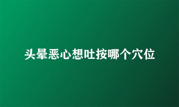 头晕恶心想吐按哪个穴位