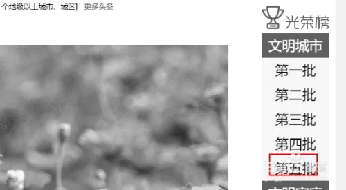 2017年文明城市评选结果