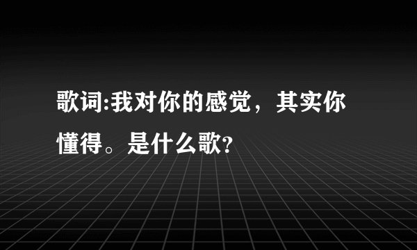 歌词:我对你的感觉，其实你懂得。是什么歌？