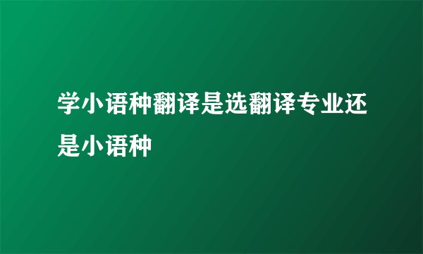 学小语种翻译是选翻译专业还是小语种