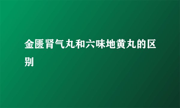金匮肾气丸和六味地黄丸的区别