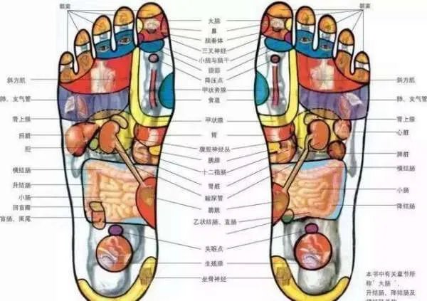 脚底穴位图？