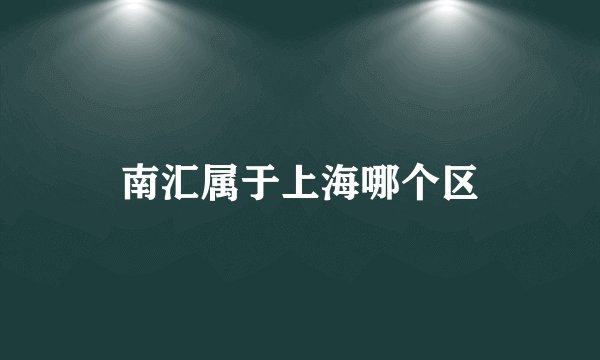 南汇属于上海哪个区