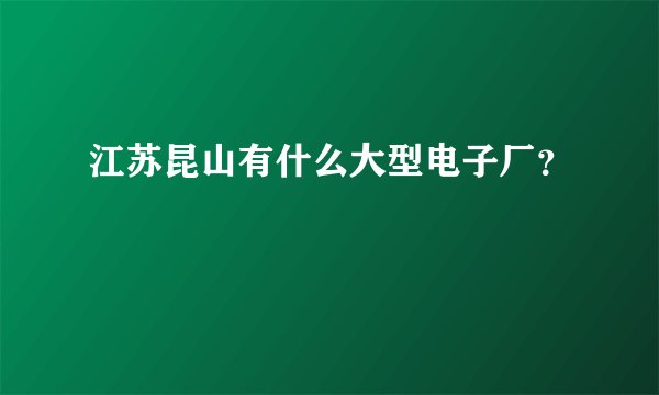 江苏昆山有什么大型电子厂？