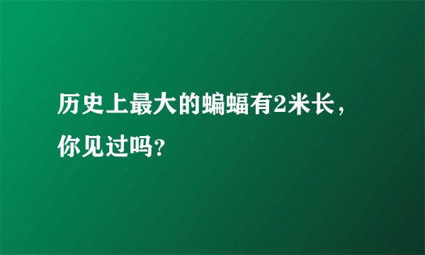 历史上最大的蝙蝠有2米长，你见过吗？