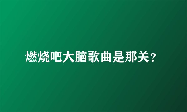 燃烧吧大脑歌曲是那关？