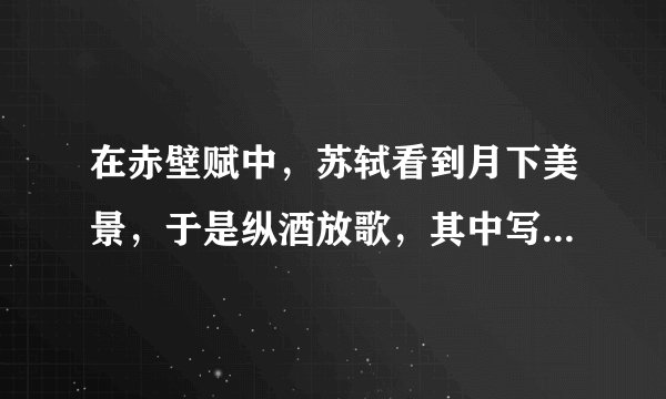 在赤壁赋中，苏轼看到月下美景，于是纵酒放歌，其中写船桨之美和于月下划船的惬意的句子是？