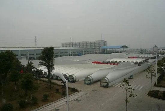 王建伟的介绍