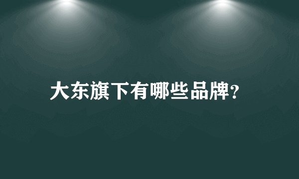 大东旗下有哪些品牌？