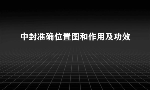 中封准确位置图和作用及功效