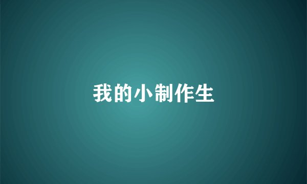 我的小制作生