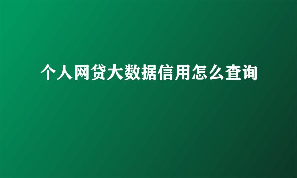 个人网贷大数据信用怎么查询