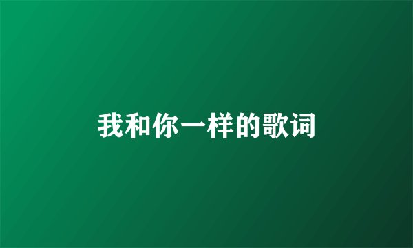 我和你一样的歌词
