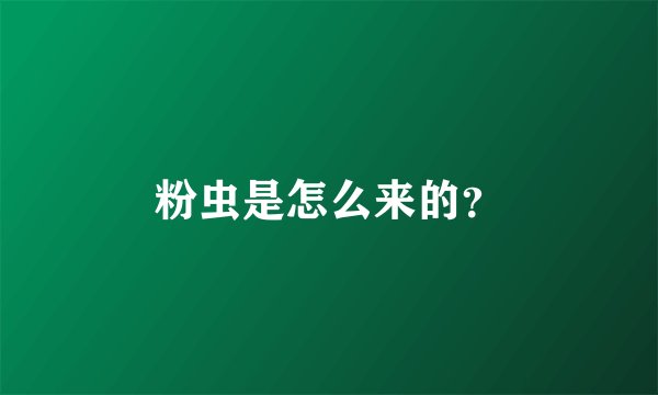 粉虫是怎么来的？