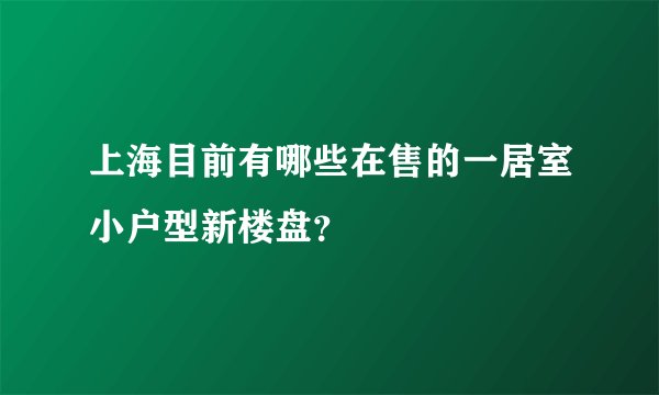 上海目前有哪些在售的一居室小户型新楼盘？