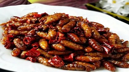 干煸蚕蛹怎么做