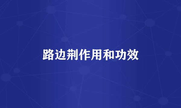 路边荆作用和功效