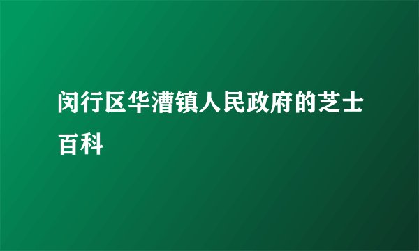 闵行区华漕镇人民政府的芝士百科