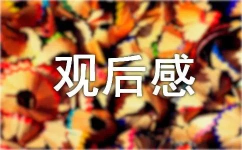 弹道无痕观后感