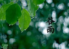 2017年谷雨是几月几号?2017年谷雨是哪一天?