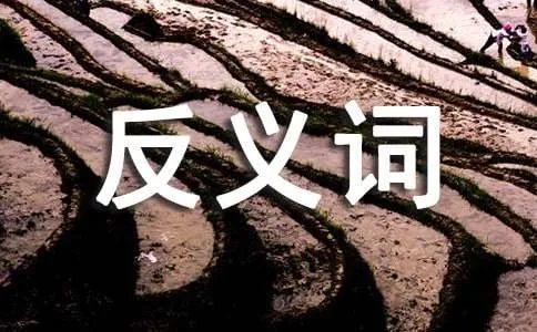 写含有反义词的成语