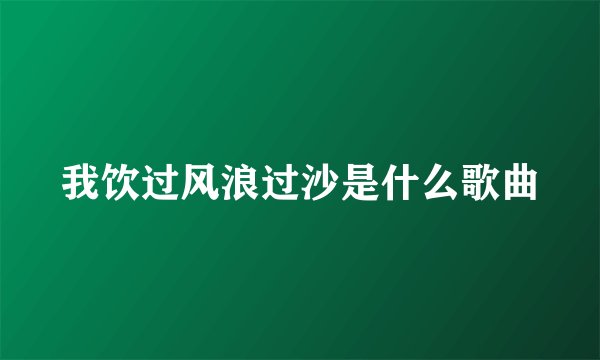 我饮过风浪过沙是什么歌曲