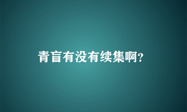 青盲有没有续集啊？