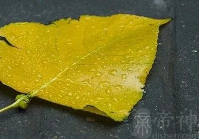 立秋节气是下雨好还是不下雨好