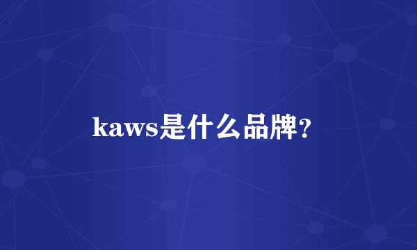 kaws是什么品牌?