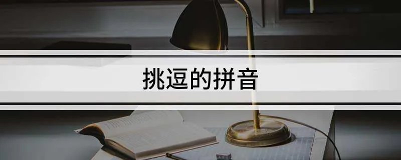 挑逗的拼音