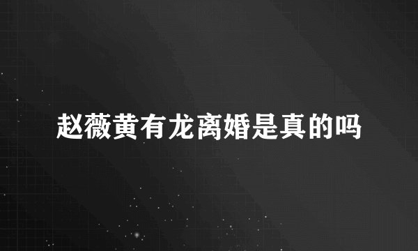 赵薇黄有龙离婚是真的吗