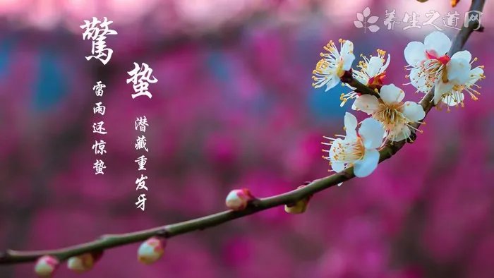 元宝草的功效与作用