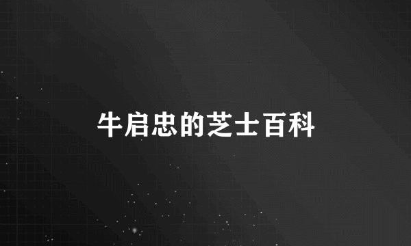 牛启忠的芝士百科