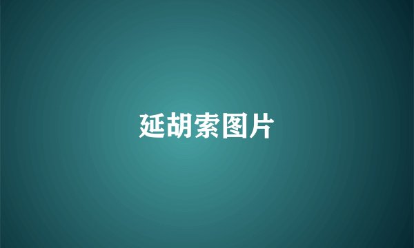 延胡索图片