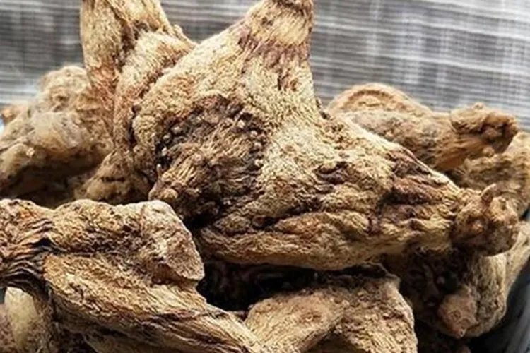 小白鸡草药的图片