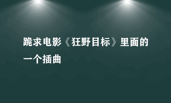 跪求电影《狂野目标》里面的一个插曲