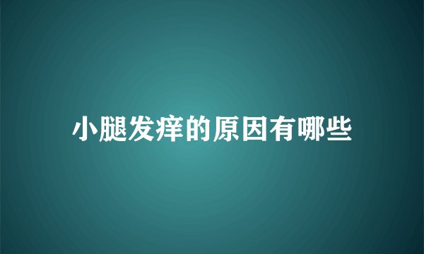 小腿发痒的原因有哪些