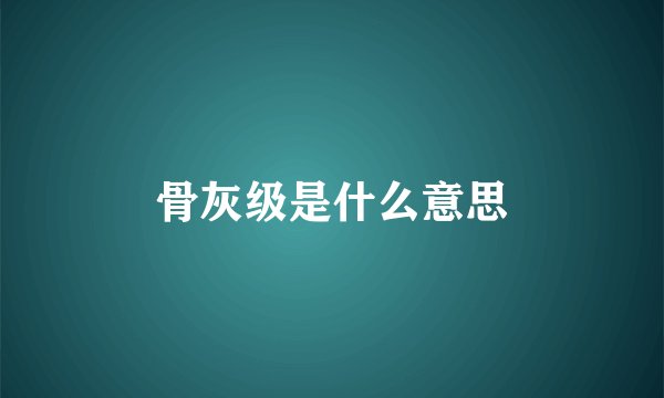 骨灰级是什么意思