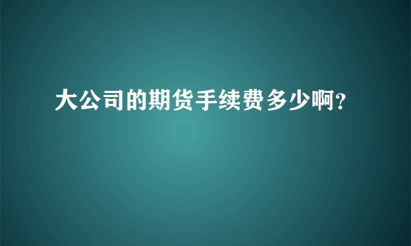 大公司的期货手续费多少啊？