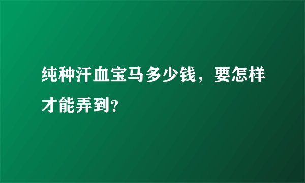 纯种汗血宝马多少钱，要怎样才能弄到？