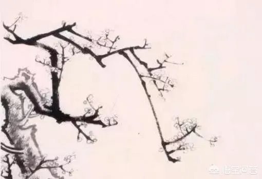 国画梅花图解教程?