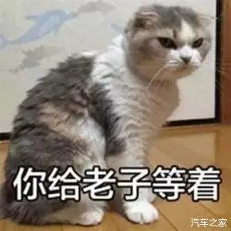 2019汽车销量出炉!大众第一,中国品牌谁最强?