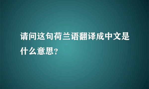 请问这句荷兰语翻译成中文是什么意思？